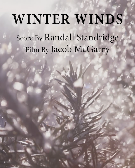 Winter Winds
